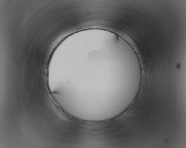 X0000115691051200912241458