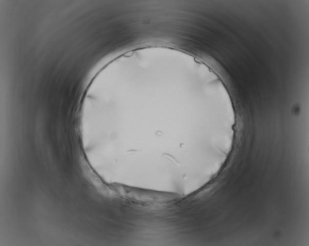 X0000115691052200912241458