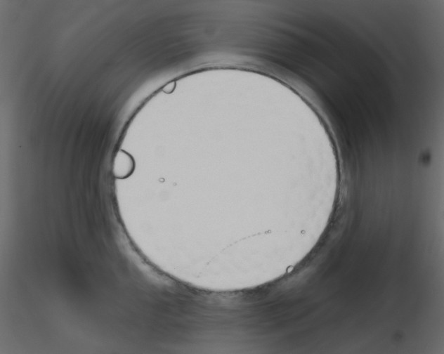 X0000115691053200912241458