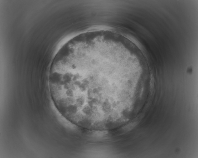 X0000115691055200912241458