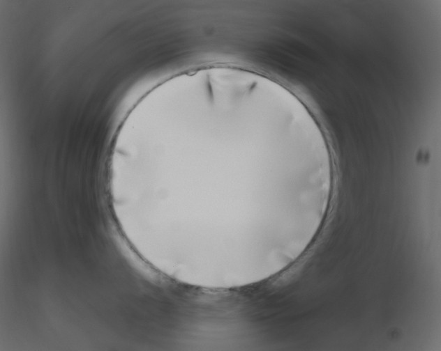X0000115691056200912241458