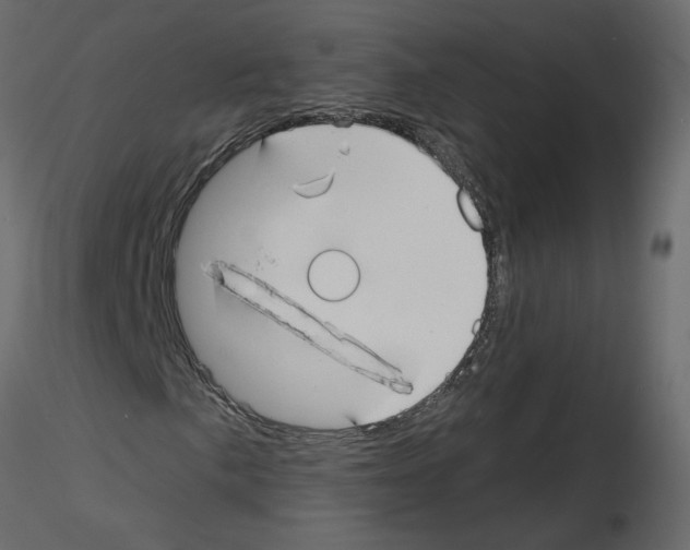 X0000115691057200912241457