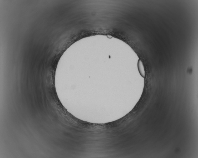 X0000115691058200912241457