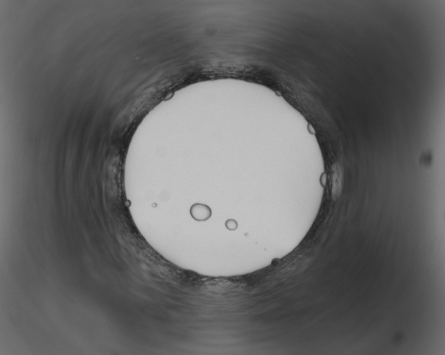 X0000115691059200912241457