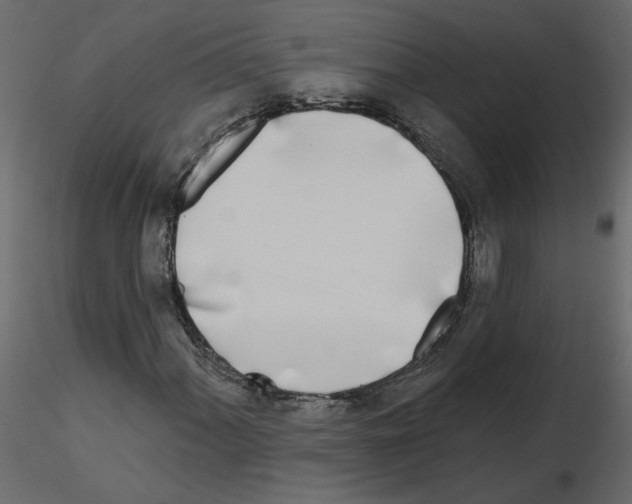 X0000115691060200912241457