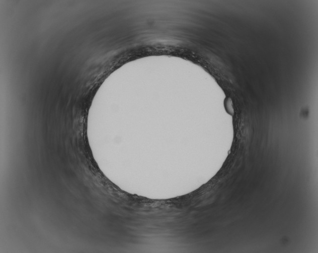 X0000115691061200912241457