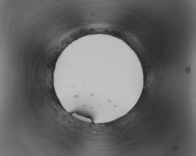 X0000115691062200912241457