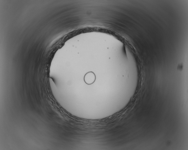 X0000115691064200912241457