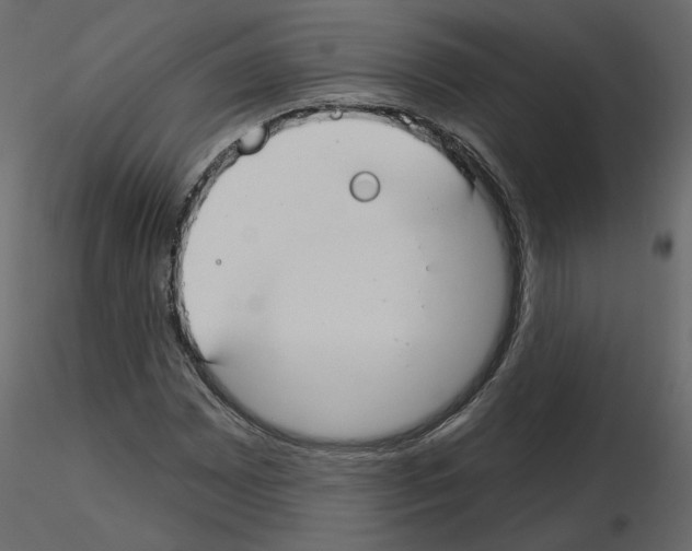 X0000115691065200912241457