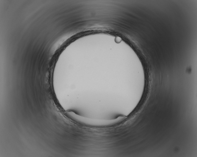 X0000115691066200912241457