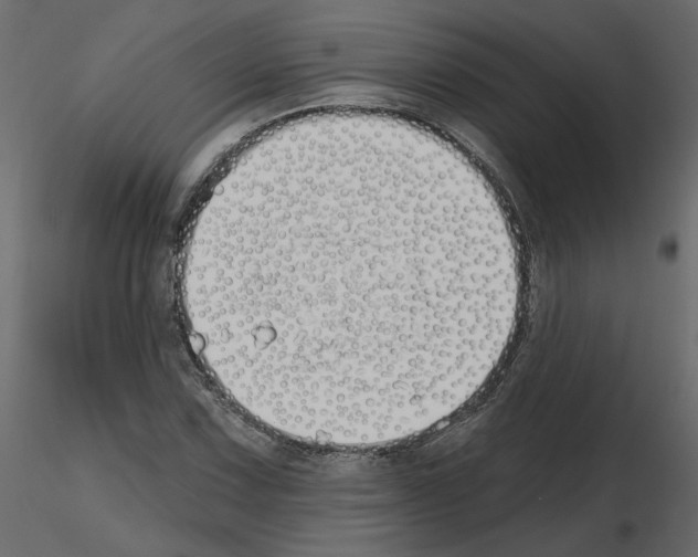 X0000115691067200912241457