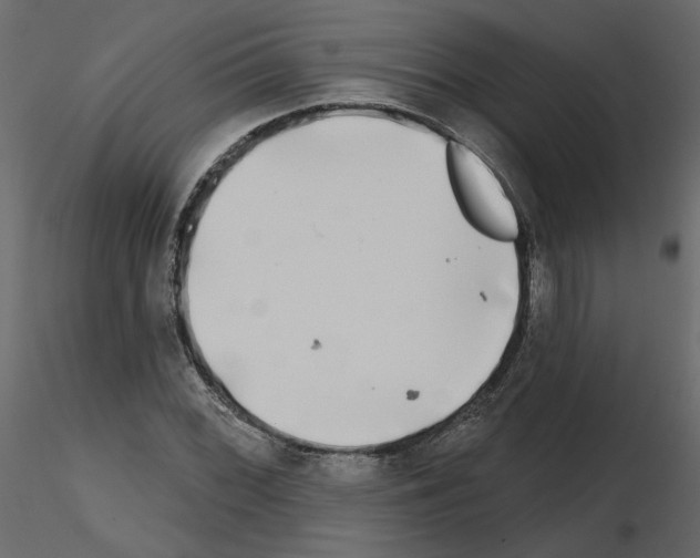 X0000115691068200912241457
