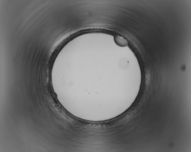 X0000115691069200912241457