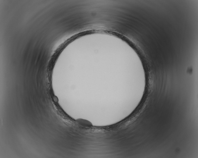 X0000115691070200912241457