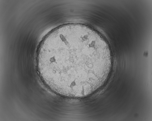 X0000115691071200912241457