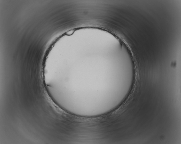 X0000115691072200912241457