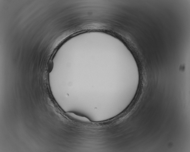 X0000115691073200912241457