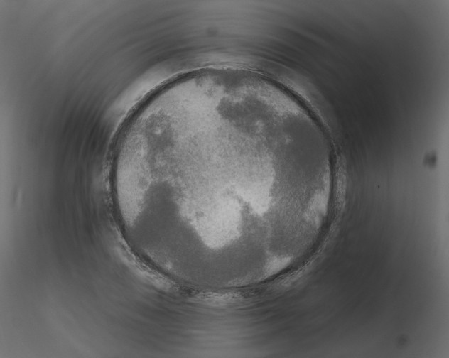 X0000115691074200912241457