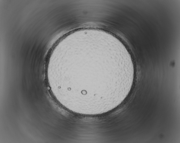 X0000115691075200912241457