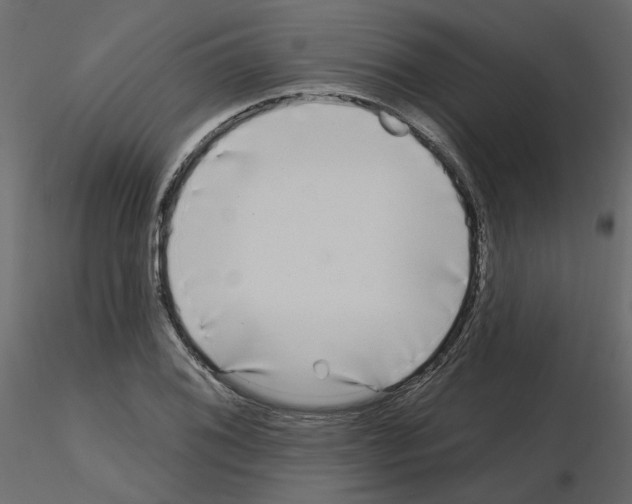 X0000115691076200912241457