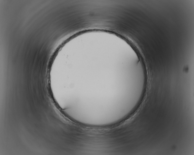 X0000115691077200912241457
