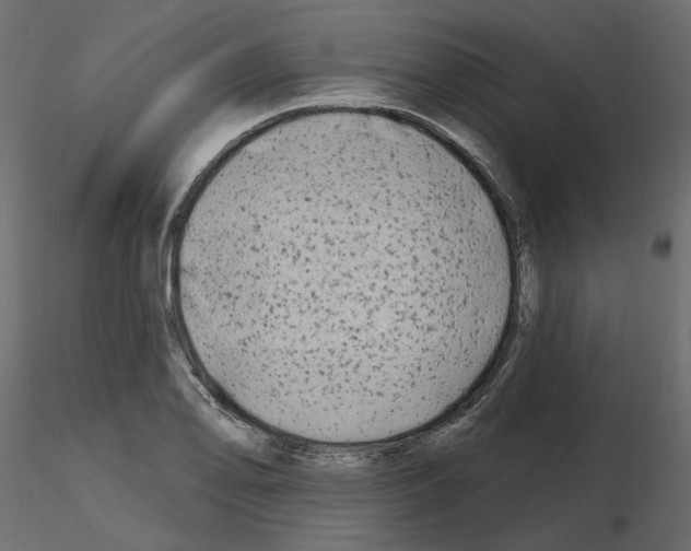 X0000115691078200912241457