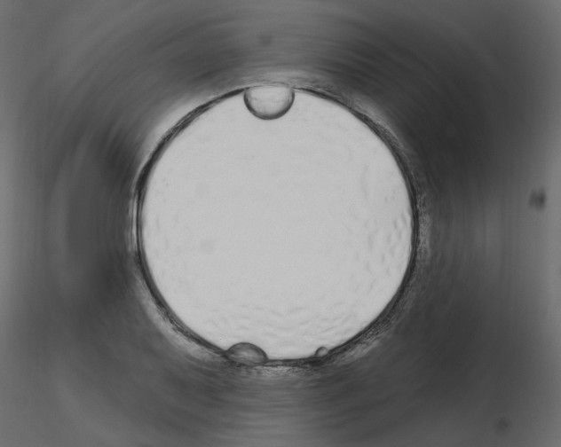 X0000115691079200912241457