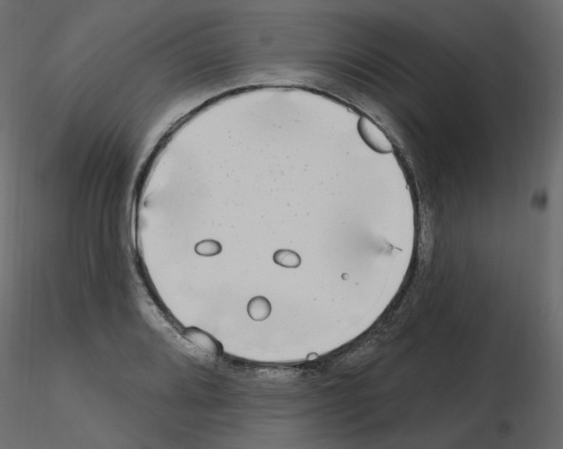 X0000115691080200912241457