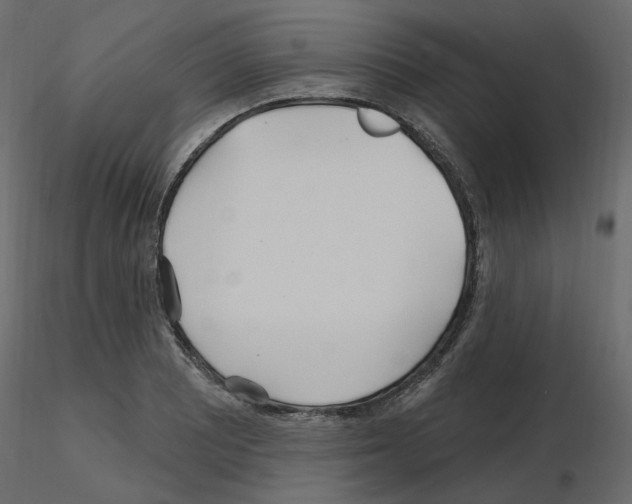 X0000115691081200912241457