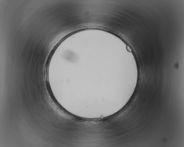X0000115691082200912241457
