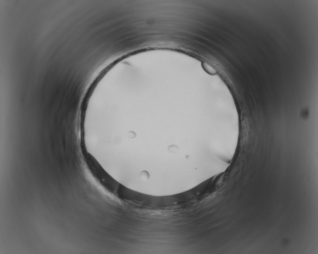 X0000115691084200912241457