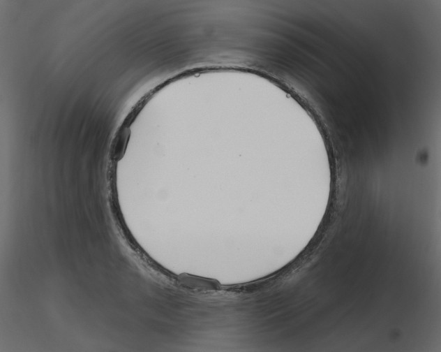 X0000115691085200912241457