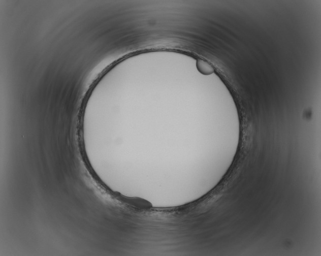 X0000115691086200912241457