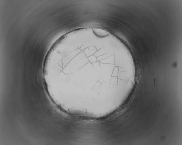 X0000115691087200912241457