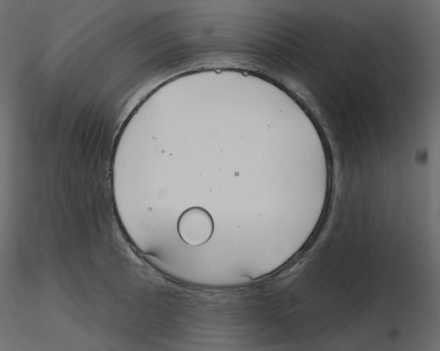 X0000115691089200912241457