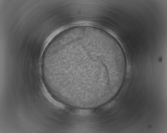 X0000115691090200912241457