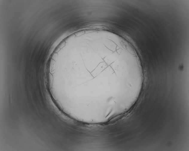X0000115691091200912241457