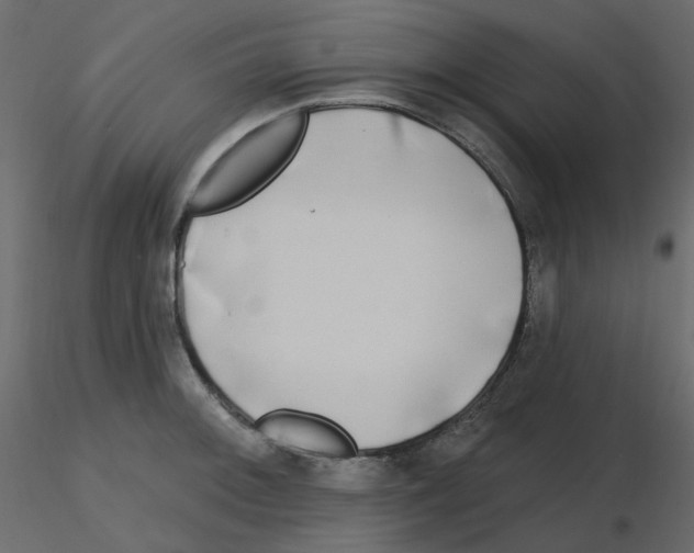X0000115691092200912241457
