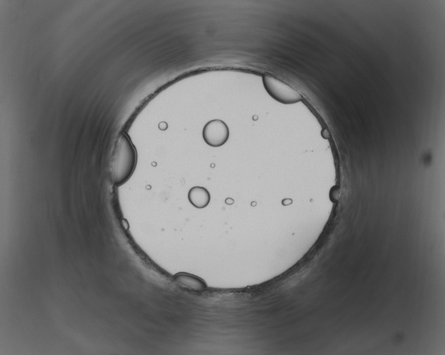 X0000115691093200912241456