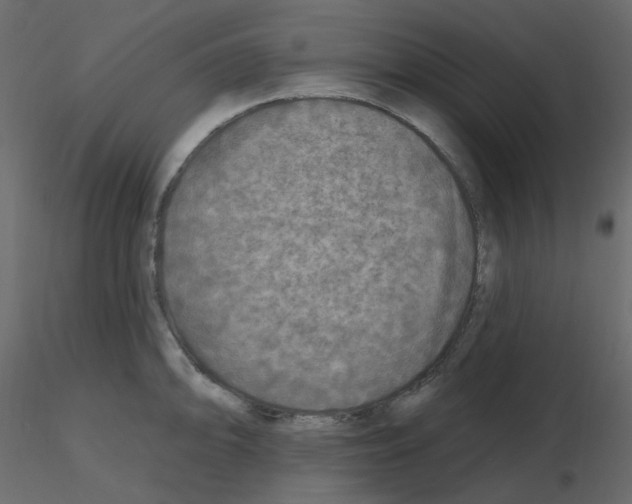 X0000115691094200912241456