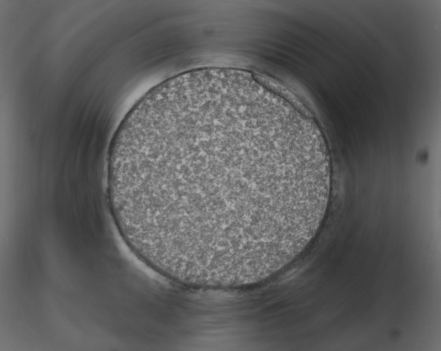 X0000115691095200912241456