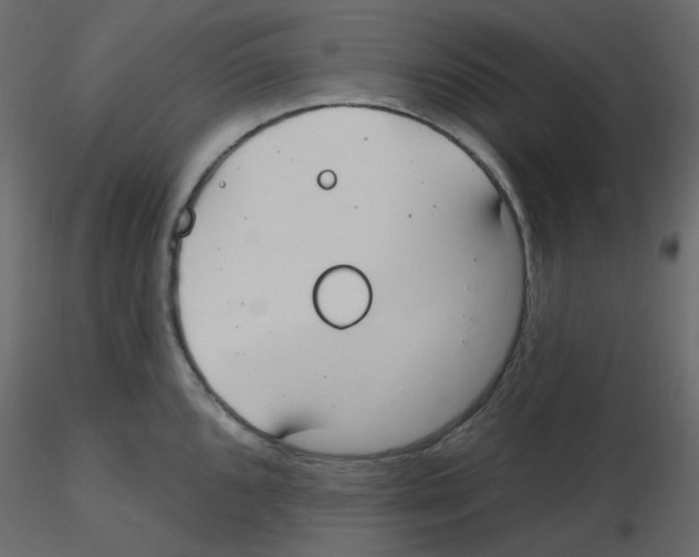 X0000115691096200912241456