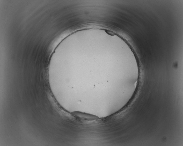 X0000115691097200912241456