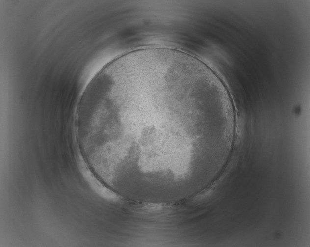 X0000115691098200912241456