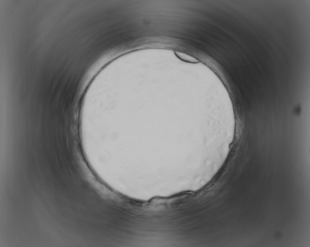 X0000115691099200912241456