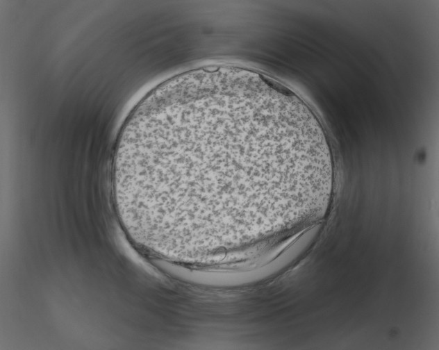 X0000115691100200912241456