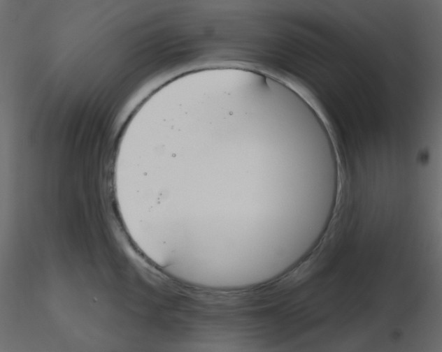 X0000115691101200912241456