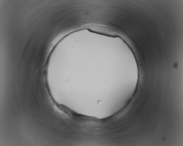 X0000115691102200912241456