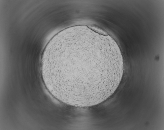 X0000115691103200912241456