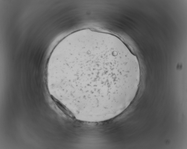 X0000115691104200912241456